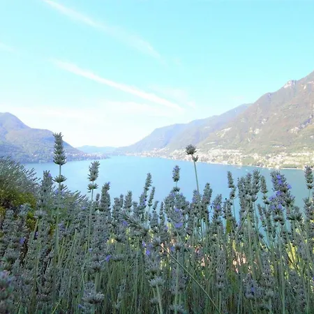 Luxury Lake View - Pognana 1 * Pognana Lario
